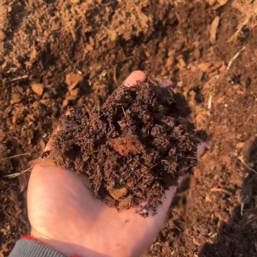 二手椰糠，种花种菜绿植性价比**