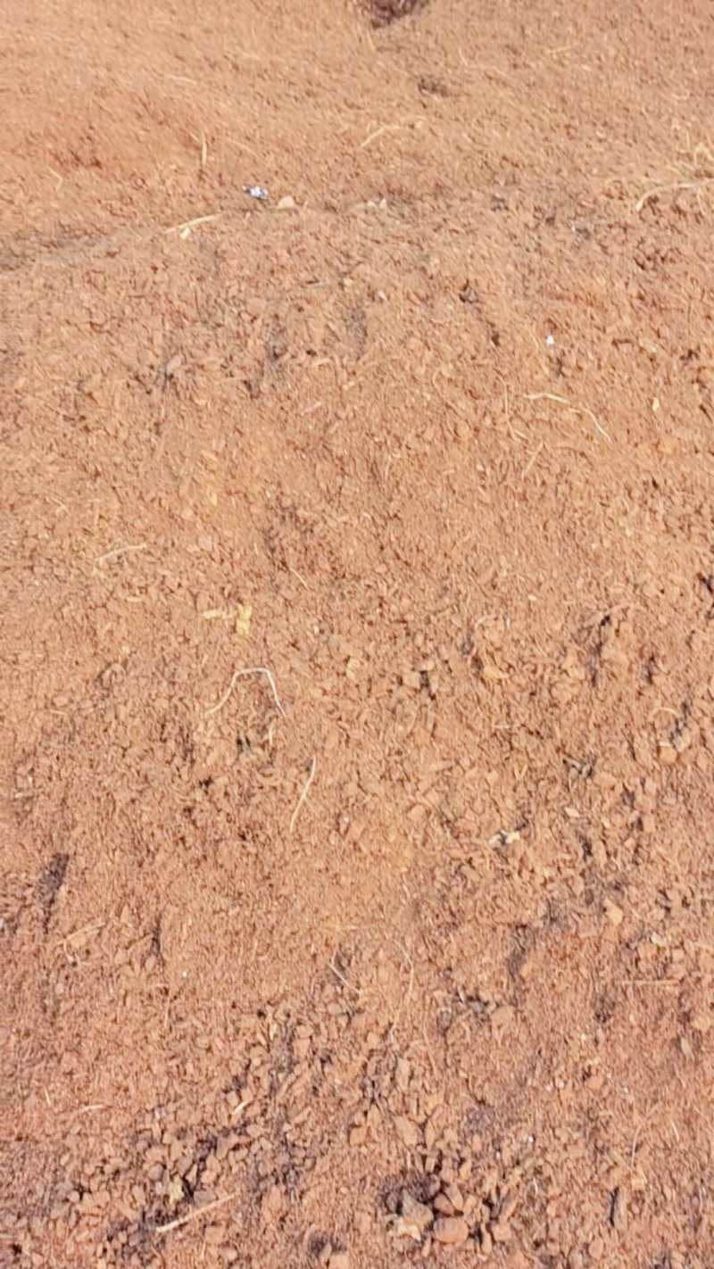 二手椰糠，种花种菜绿植性价比**