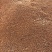 晋糯3号高粱