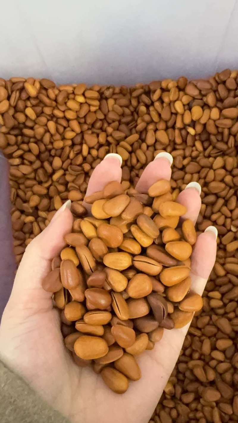 松子电商一件代发，不限单，量大的开