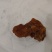 鸡黄，《常称鸡宝》出自于四川大凉山彝族自治州