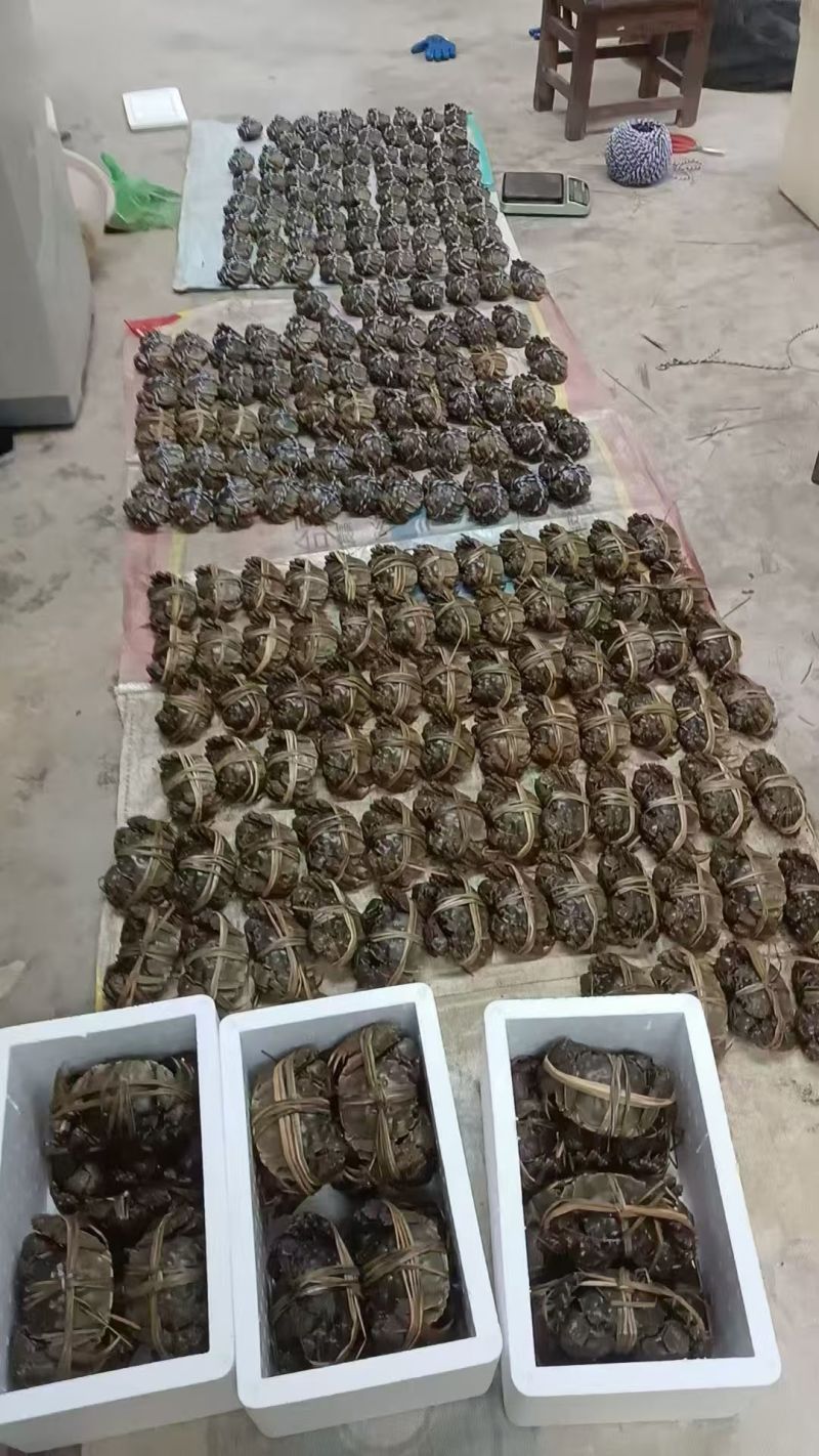大闸蟹