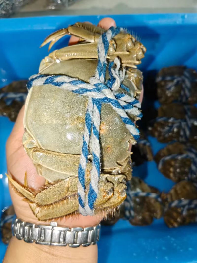 大闸蟹