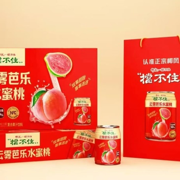 水蜜桃汁饮品一箱16瓶