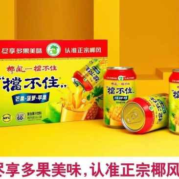 芒果复合果汁饮品一箱16罐