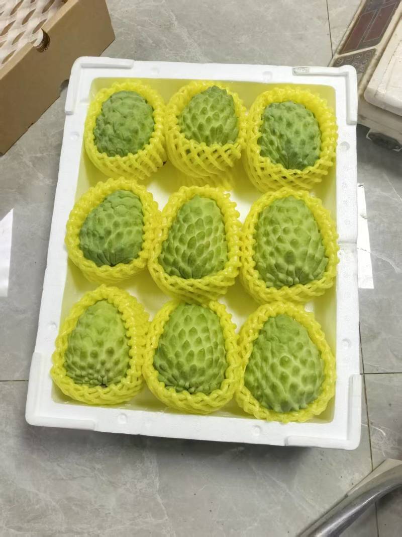 凤梨释迦