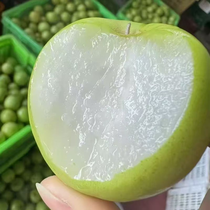 西双版纳苹果枣价格美丽
