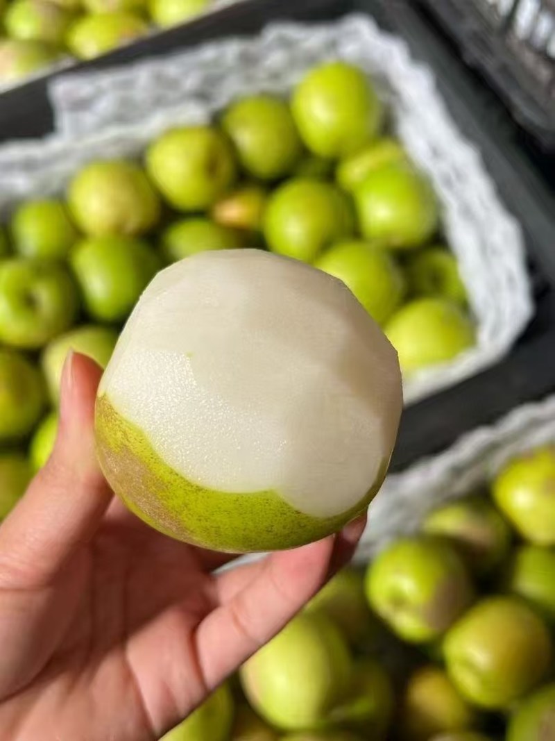 西双版纳苹果枣价格美丽