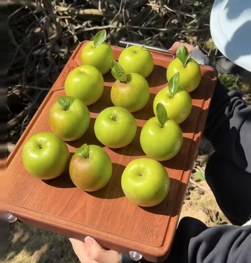 西双版纳苹果枣价格美丽