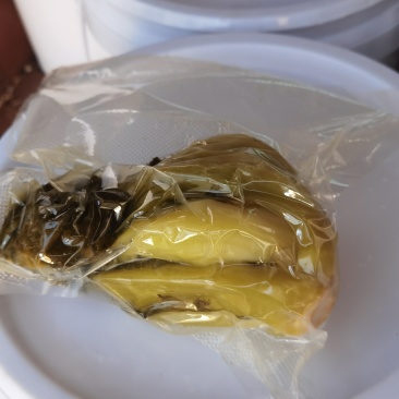 酒糟酸菜