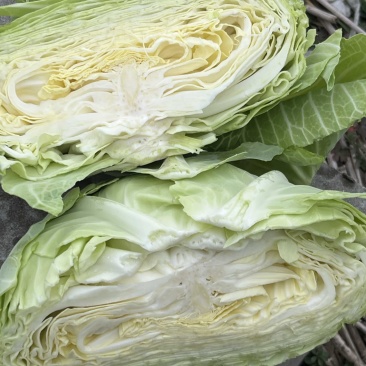 扁包