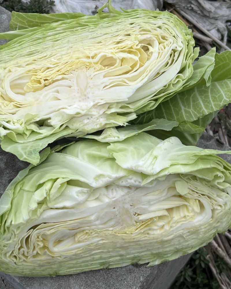 扁包