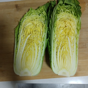 山东黄心白菜