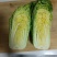 山东黄心白菜