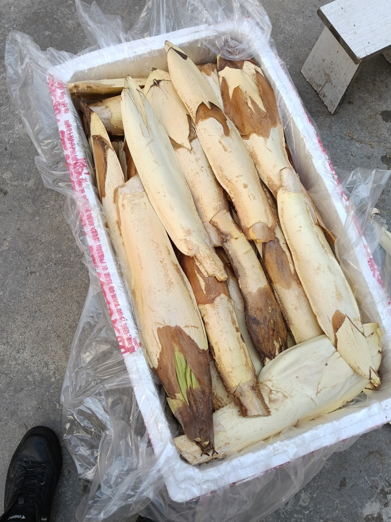 新鲜棕包