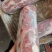 梅花肉，一号梅肉卷，红烧，煎炸煮炖，块头大，价格合适