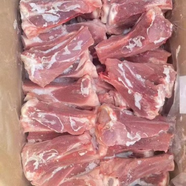猪s骨棒骨