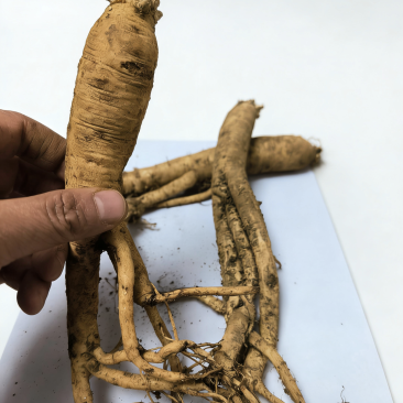 黄党现货和干货，太阳自然晒干