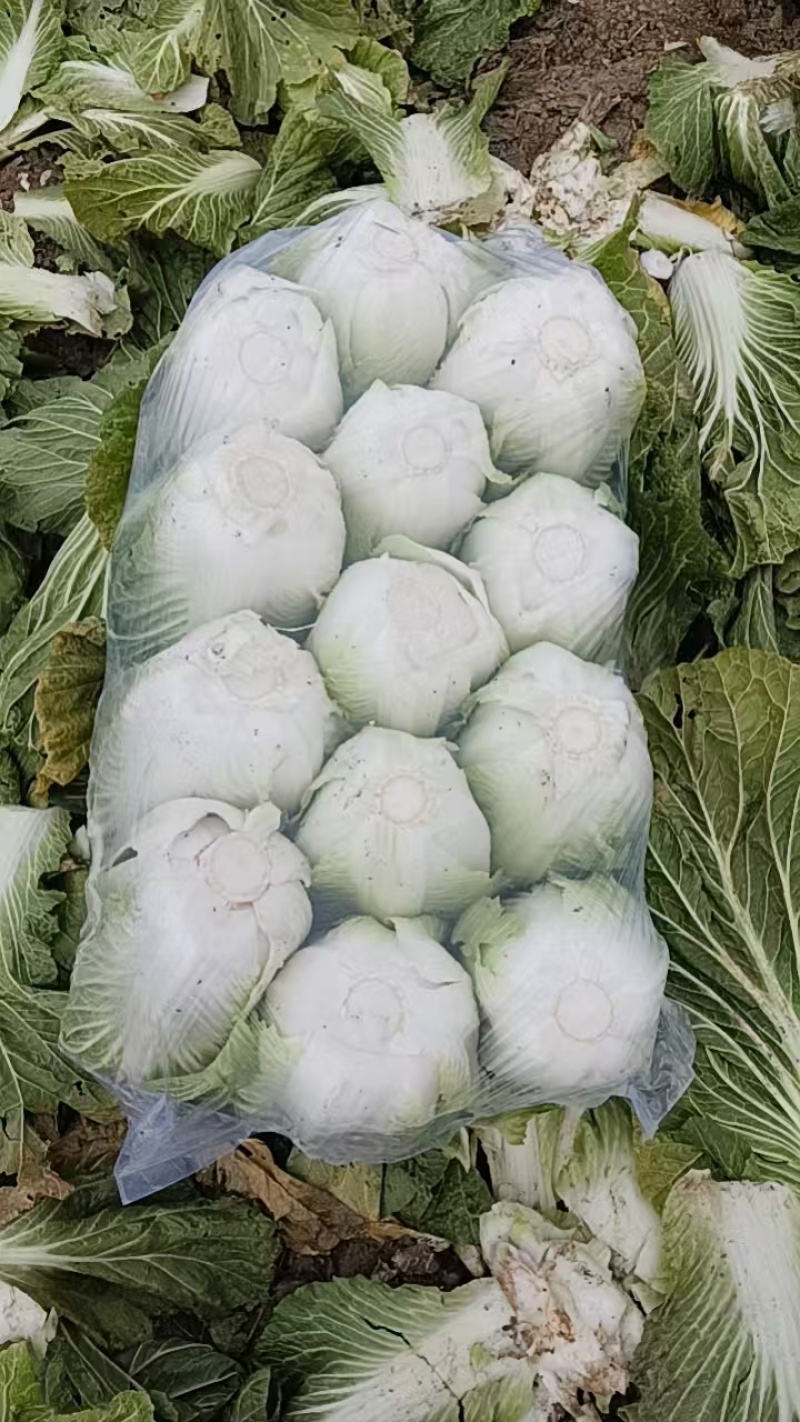 好货永远停不下来脚步