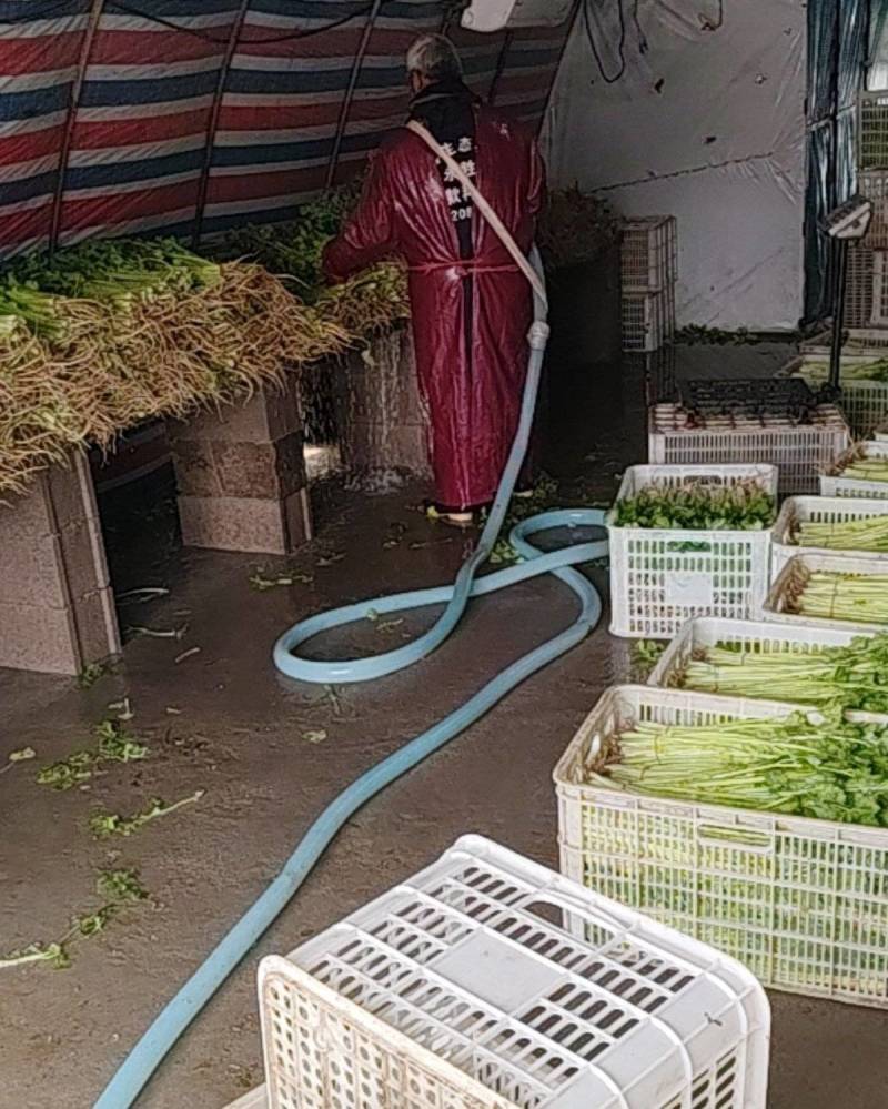 芹菜