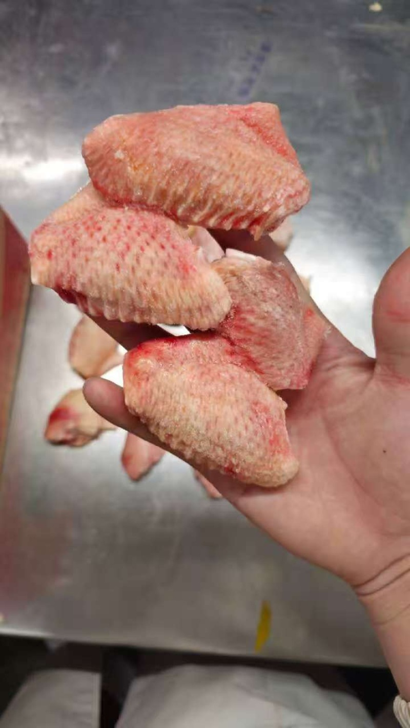 二级翅中，淤血