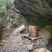 湖北恩施大山深处山岩百花蜜