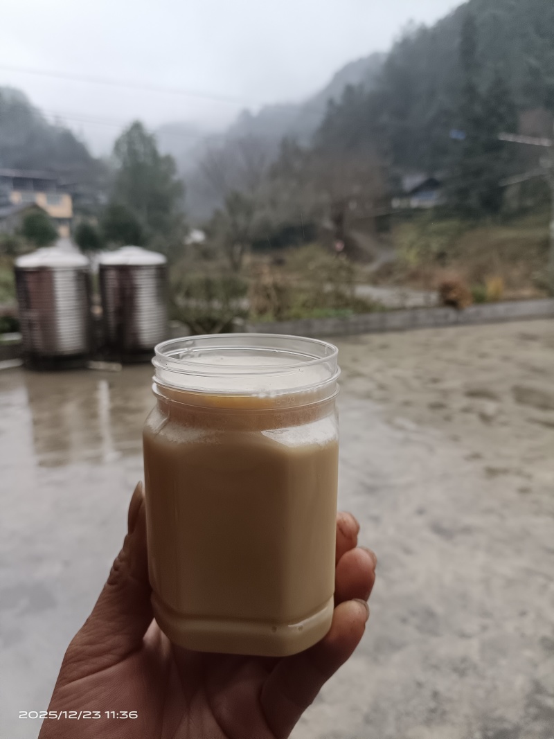 湖北恩施大山深处山岩百花蜜