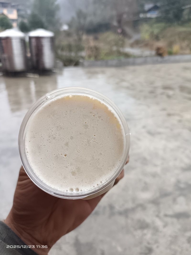 湖北恩施大山深处山岩百花蜜