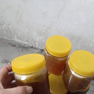 ***野生土蜂蜜