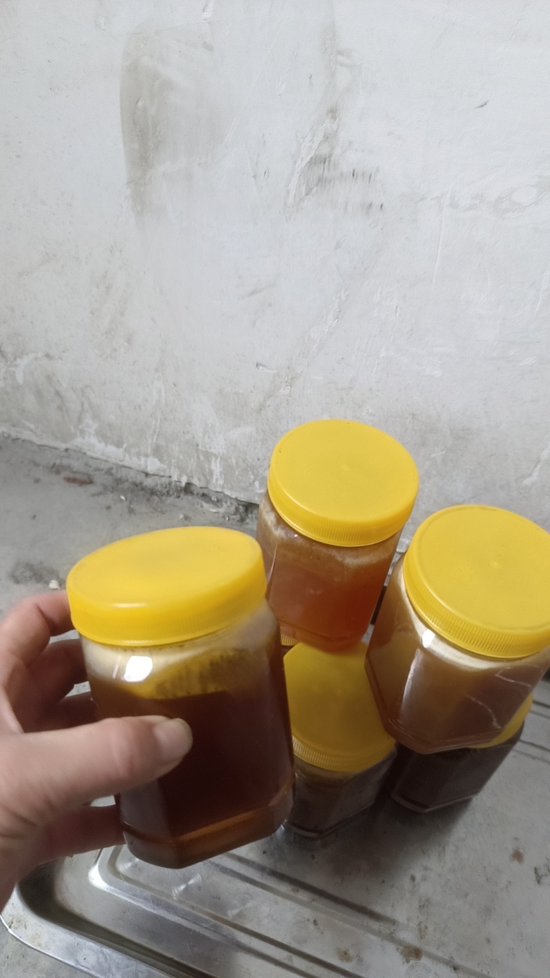 ***野生土蜂蜜