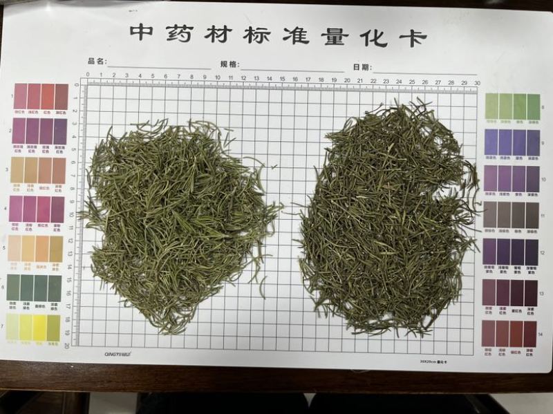 国产迷迭香干货批发煮红酒迷迭香小包装定制量大价优精油提取