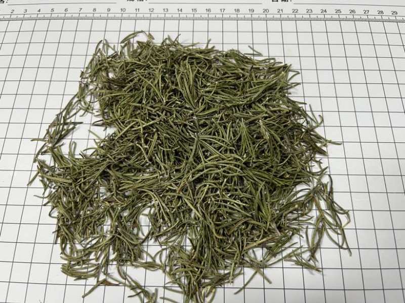 国产迷迭香干货批发煮红酒迷迭香小包装定制量大价优精油提取