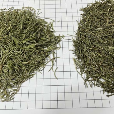 国产迷迭香干货批发煮红酒迷迭香小包装定制量大价优精油提取
