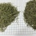 国产迷迭香干货批发煮红酒迷迭香小包装定制量大价优精油提取