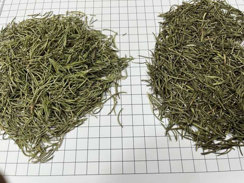 国产迷迭香干货批发煮红酒迷迭香小包装定制量大价优精油提取