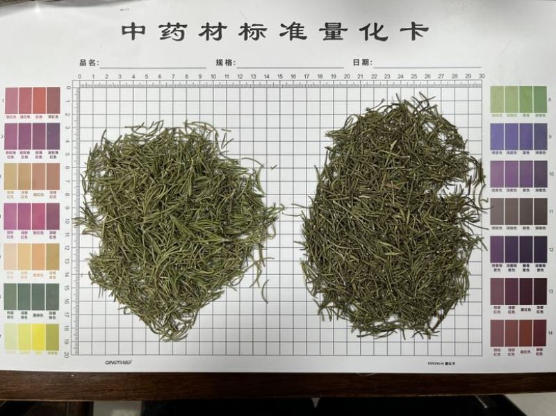 国产迷迭香干货批发煮红酒迷迭香小包装定制量大价优精油提取