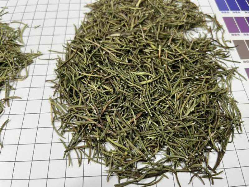 国产迷迭香干货批发煮红酒迷迭香小包装定制量大价优精油提取