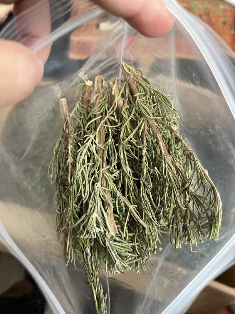 国产迷迭香干货批发煮红酒迷迭香小包装定制量大价优精油提取