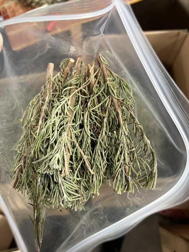 国产迷迭香干货批发煮红酒迷迭香小包装定制量大价优精油提取