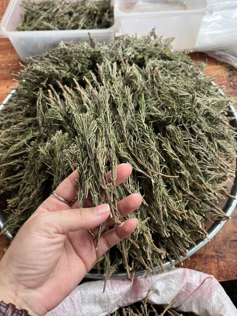 国产迷迭香干货批发煮红酒迷迭香小包装定制量大价优精油提取
