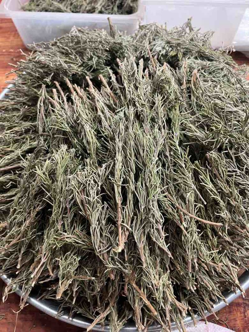 国产迷迭香干货批发煮红酒迷迭香小包装定制量大价优精油提取