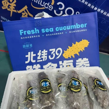 大参王4-6头只要80