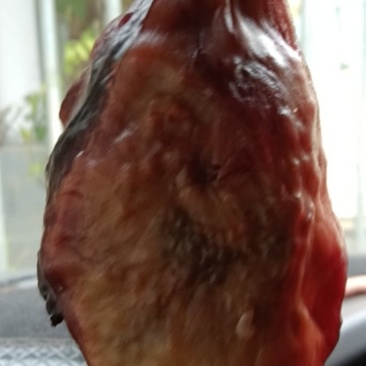 猪胆囊砂