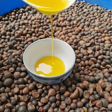 湖南本地山茶油
