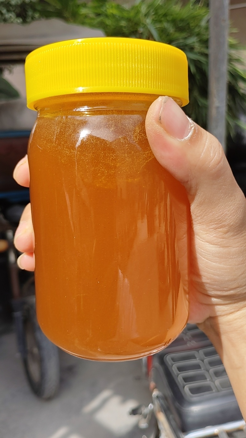 野生土蜂蜜