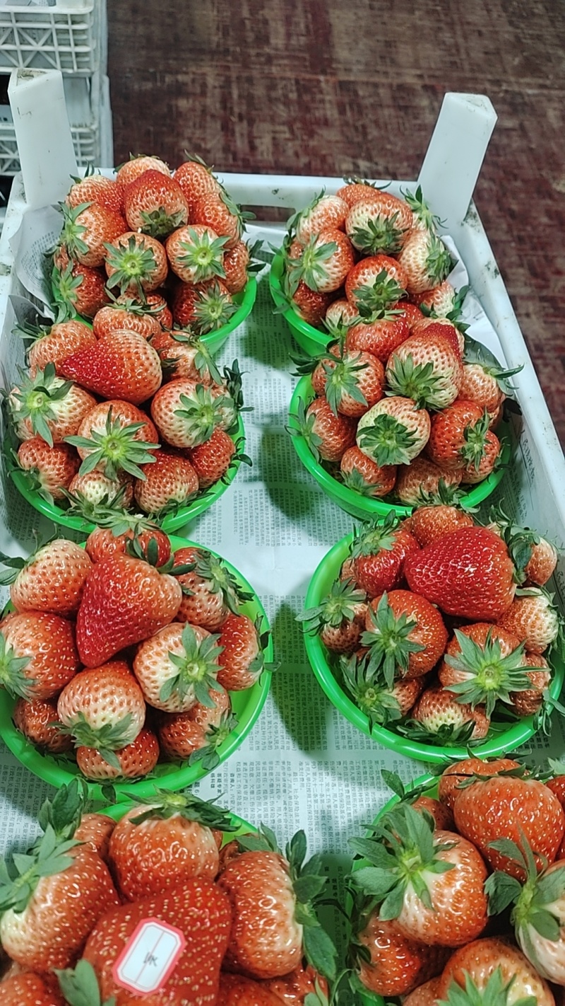 红颜草莓