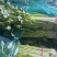 香芹