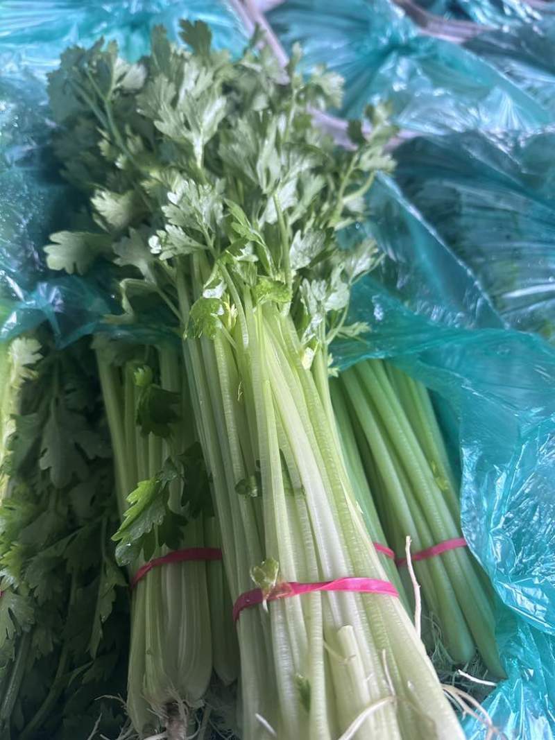 香芹