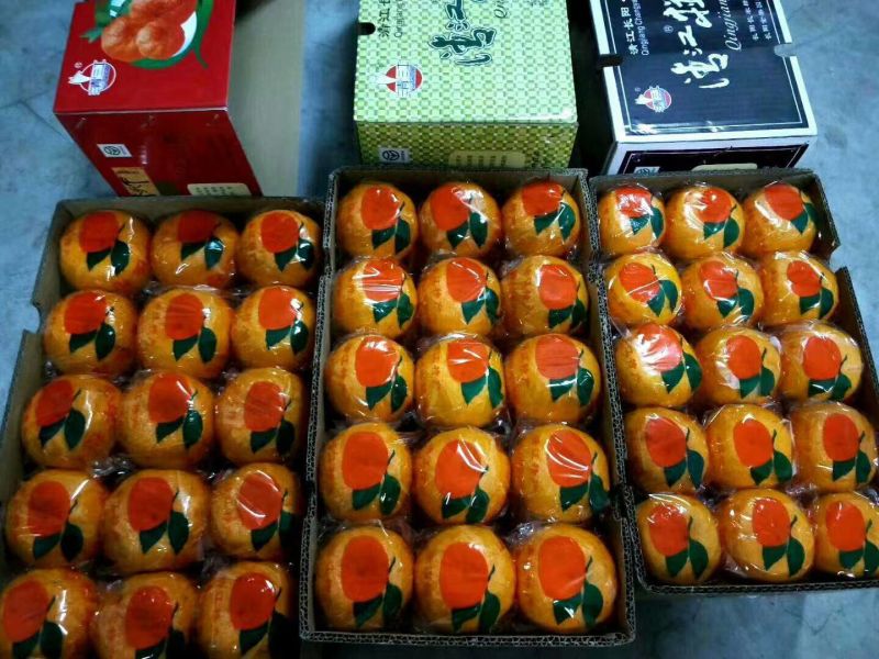 清江椪柑农产品