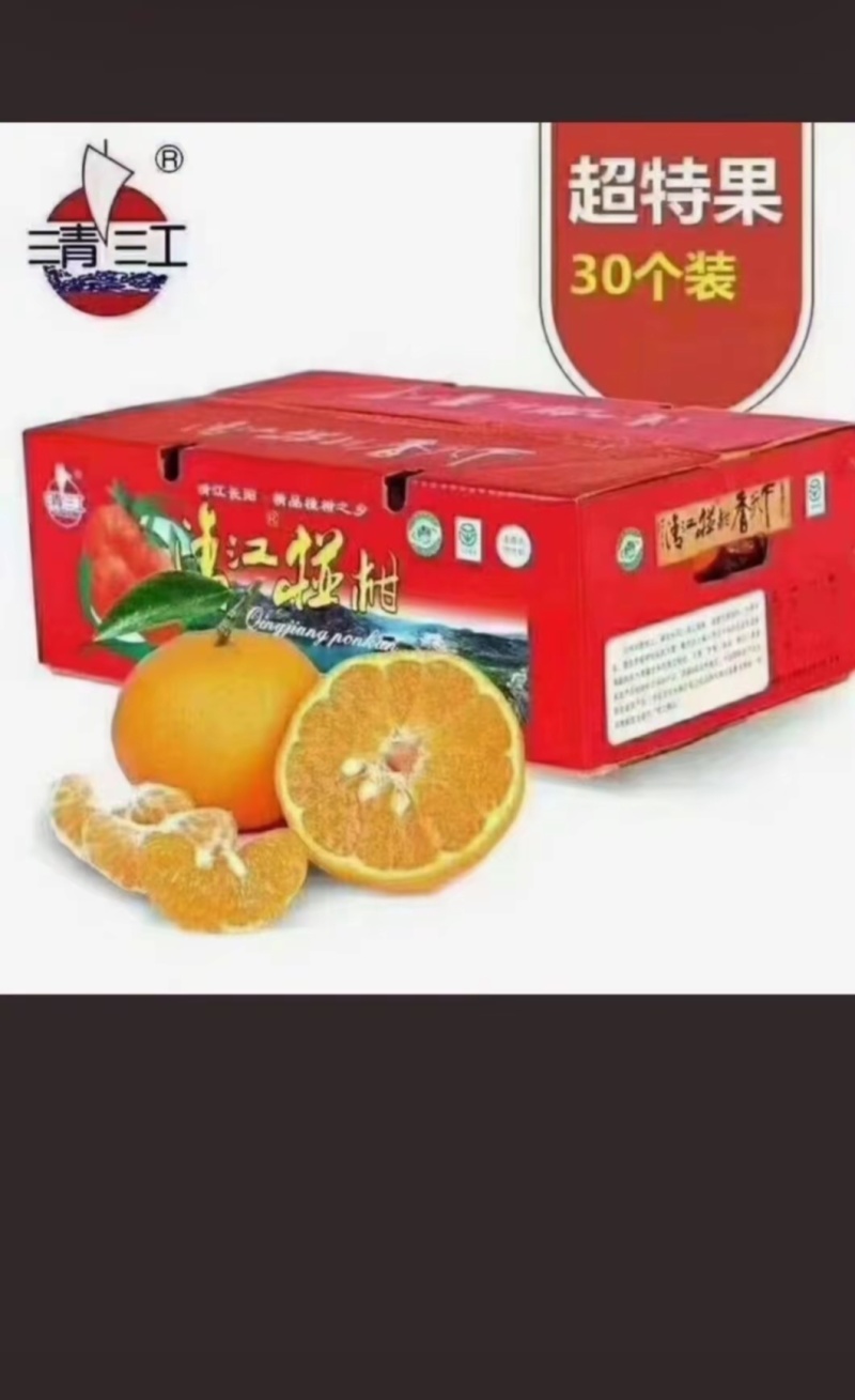 清江椪柑农产品